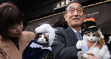 「猫の手」借りられる?たま駅長に部下誕生 「猫の手」借りられる?たま駅長に部下誕生