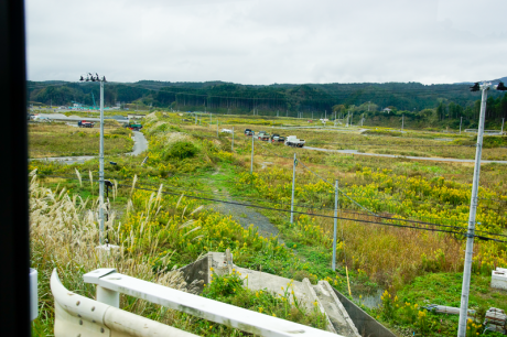 志津川駅を気仙沼側にある跨線橋上から眺めたところ。草蒸してはいるが、そこが駅であったことはハッキリと判った。