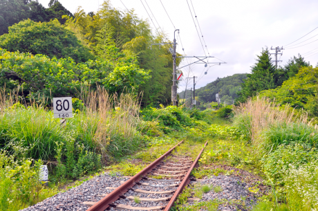 竜田駅北側にある踏切より仙台方向を望んだ光景。線路端を示す物や標識はなく草蒸した中に線路が伸びている。この地点から先に立つ架線柱からは架線が外されており、復旧がまだまだ先であることを感じさせる。