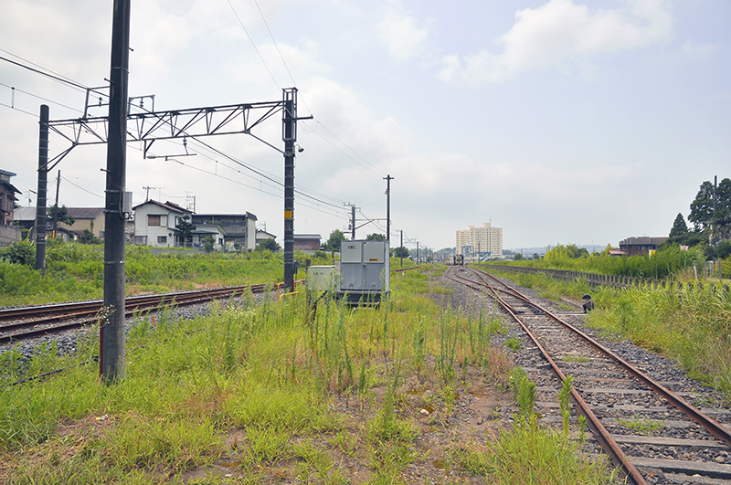 上の踏切からの反対側を眺めたところ。右の柵の外側の草むらのさらにその右にかつてはターンテーブルがあったとのことだ。