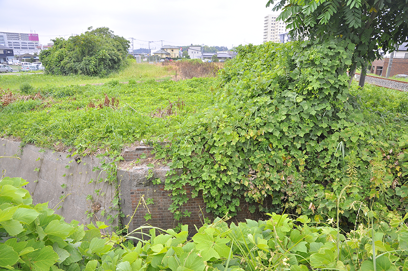 上の地点からの反対側、茂原方の眺め。左上の樹木と右の金網の設備の間が線路が通っていた場所のようだ。盛夏に訪れため、せっかくのレンガ造りの橋台が草でほとんど見えないのが残念。