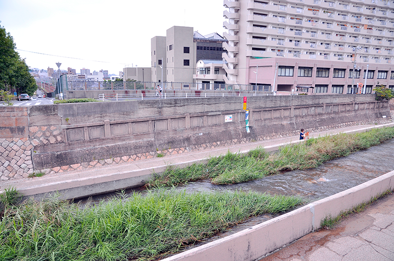 住吉川の線路上の川面を西岸上流側から見たところ。画面左やや上遥かに線路が遠望できるので、これが天井川であるのが判るだろう。