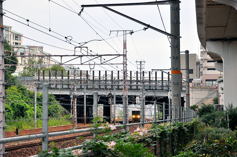 住吉川水底トンネルの住吉駅寄りの眺め。コンクリート構造物は跨線道路橋の奥にそれなりに窺えるが、フェンスが高くて、やはりよく見えない。右頭上の高架橋は六甲ライナーの軌道だ。