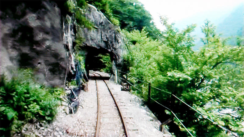 列車はこんな素掘りのトンネルもくぐってゆく。