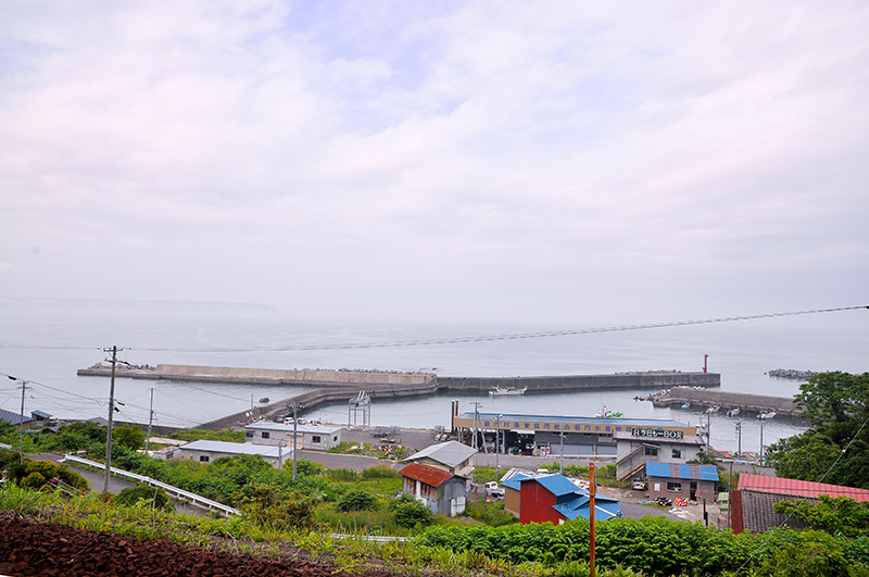 駅から東側の海を眺めると、そこに漁港はあるが、夫婦岩はない。