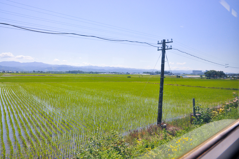 木製で、支線付きのハエタタキ。線路寄りに鉄道電話が見えるので、このためのハエタタキなのだろう。於札内-南下徳富。