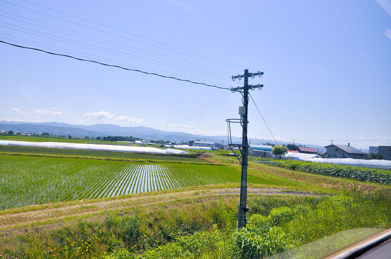 浦臼からのハエタタキには多芯ケーブルが5本も掛かっているのもあったりして、うっかり写真を撮らないでいたが、於札内駅 札幌方150m程の地点にあるこのハエタタキを見て、思わずシャッターを押してしまった。なお、車窓写真はすべて左が新十津川方で、右が札幌方になる。