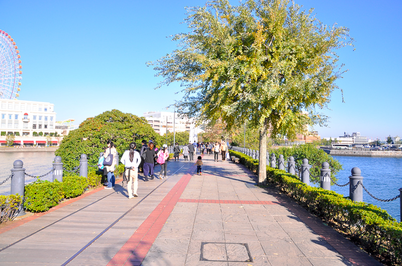 上の同地点からの横浜港駅方の眺め。海の中に造成された人工島を通っているため、左右は海面になっている。