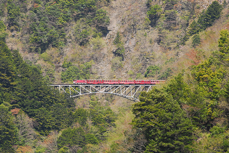 関の沢橋梁。尾盛-閑蔵 間にある関の沢川に架かる橋梁で、河床からの高さは70.8mあり、現役の鉄道橋としては高さ日本一。左右の景色をゆっくり眺められるようにと、井川行のみ徐行運転を行なう。