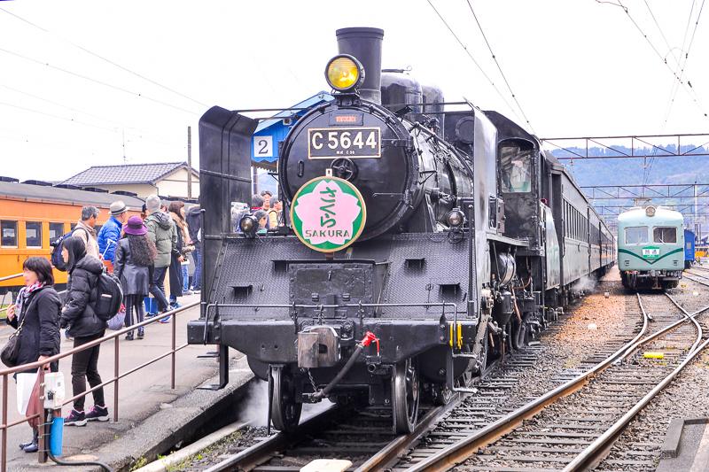 SL動態保存運転で有名な大井川鐵道の、新金谷駅で発車を待つC56 44号牽引のSL列車。『大井川鐵道×天神屋 SL黒カレー』は同鐵道のSL列車の車内販売でも購入できる。右は元・南海電車の21000系。こちらも貴重な車輛で、この鐵道には他にも乗っておきたい電車が多数在籍している。