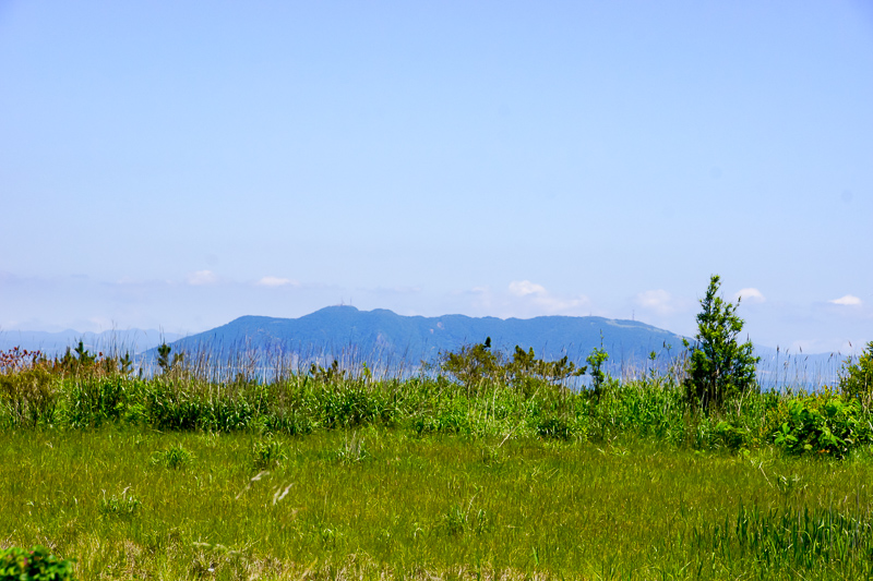 サラキ岬から望む函館山。一昨年は草原越しの眺めだったが、日々整備が進む場所だけに、今年はどんな見え方をしているのだろうかと気になる。