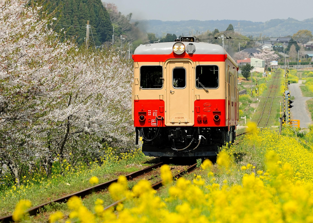 いすみ鉄道　自社養成乗務員訓練生を募集