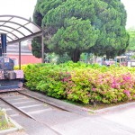 板橋区城北交通公園(東京都)に保存されているコッペルと仲間たち