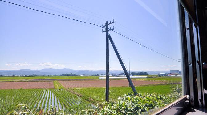 札沼線沿いに今なお残るハエタタキ