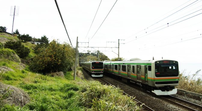 東海道・熱海線の列車を現在も見守り続けるハエタタキの残骸