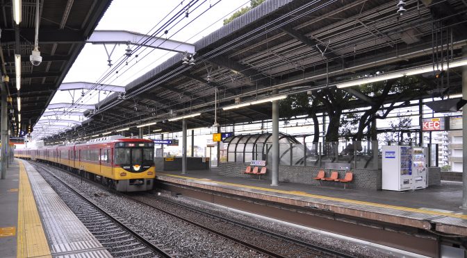 大楠が高架のプラットホームや屋根を突き抜けて立つ私鉄駅