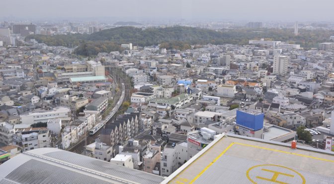 仁徳天皇陵を上から眺めたくて昇った展望台から電車が見えた