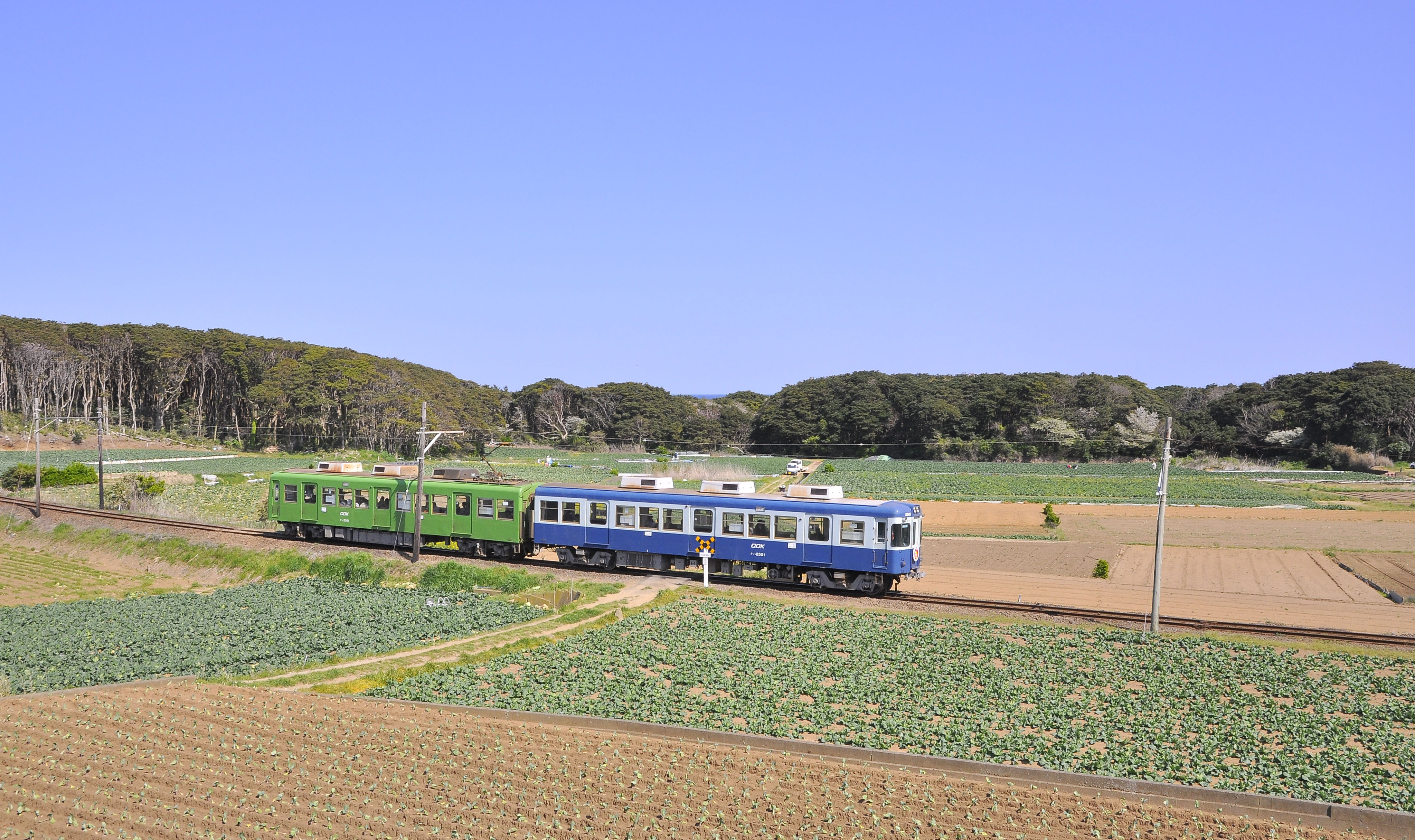 令和に残る奇跡の情景…ローカル私鉄タイプ直接吊架式電車線 | 鉄道旅の