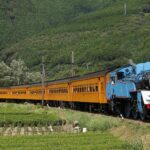トーマスが大井川にやってくる2023年の日程が決まったよ
